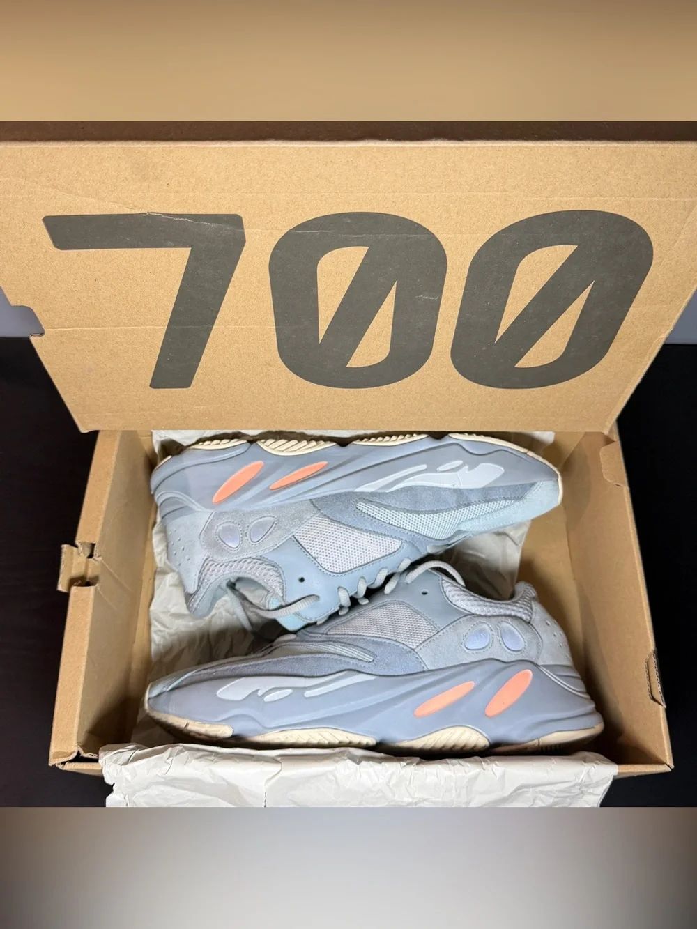 Size 11 - Adidas Yeezy Boost 700 V1 Inertia